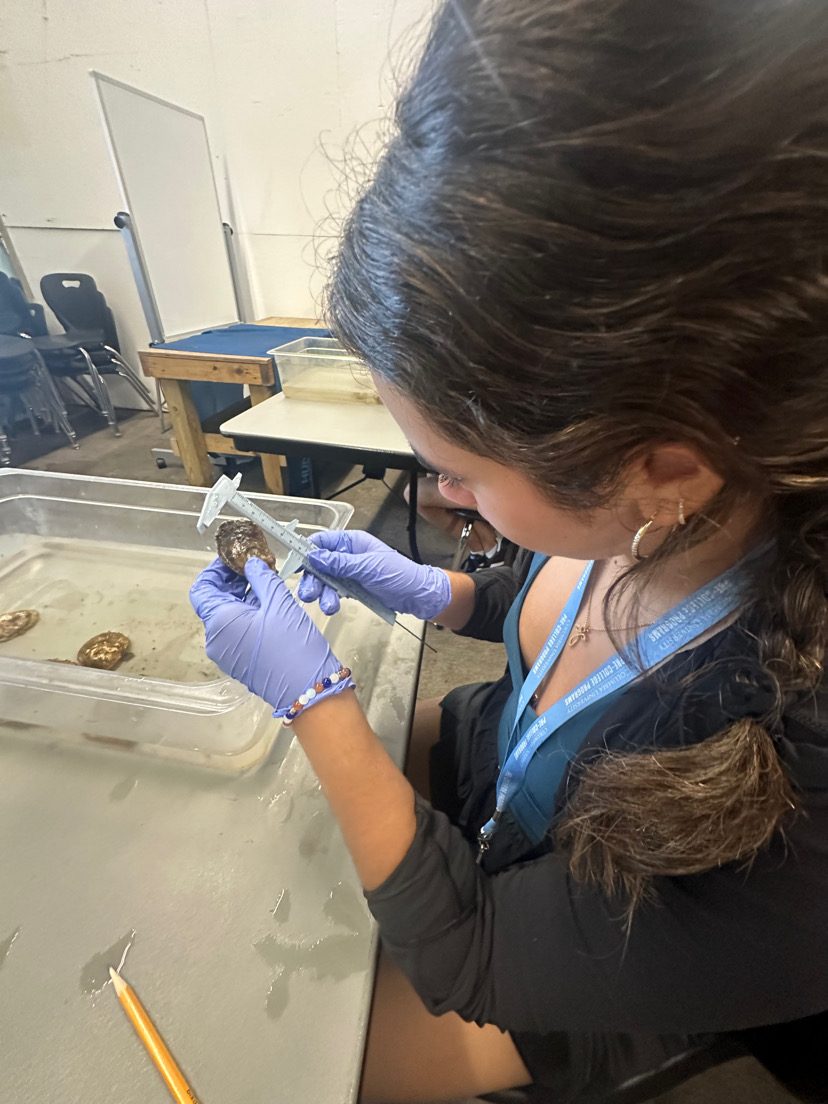 Alexandra Cohen — conservation and fieldwork