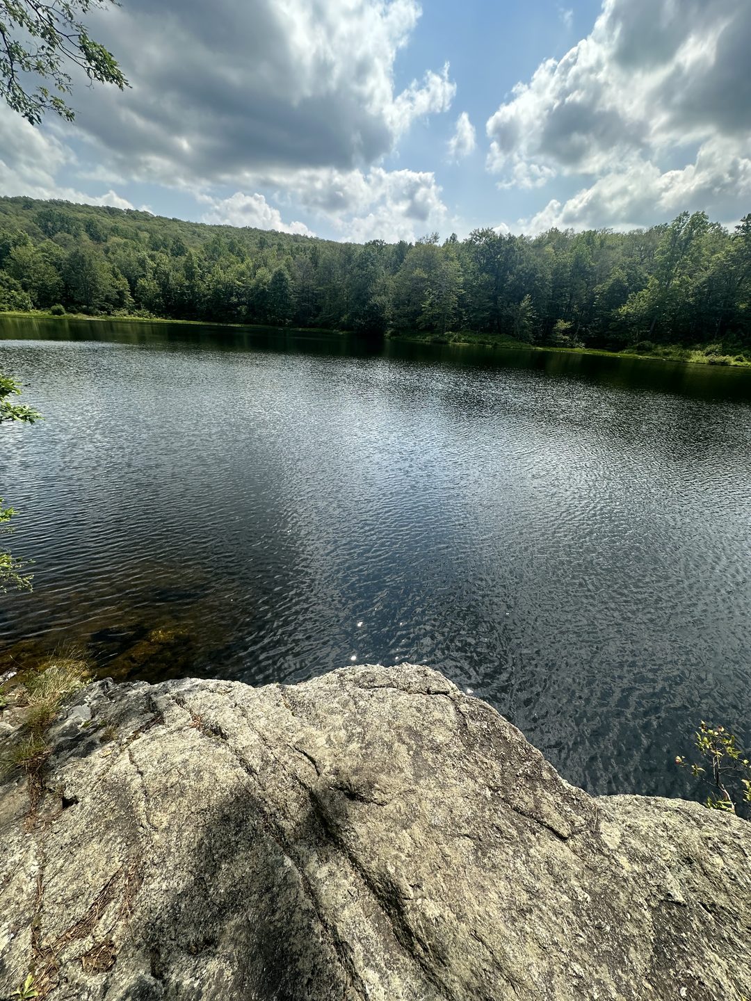 Alexandra Cohen — conservation and fieldwork