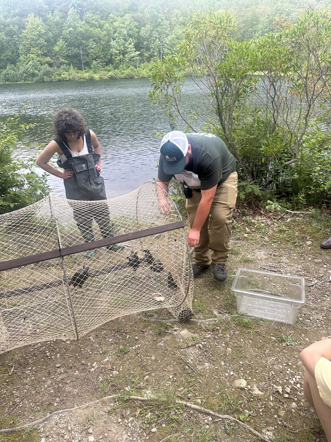 Alexandra Cohen — conservation and fieldwork