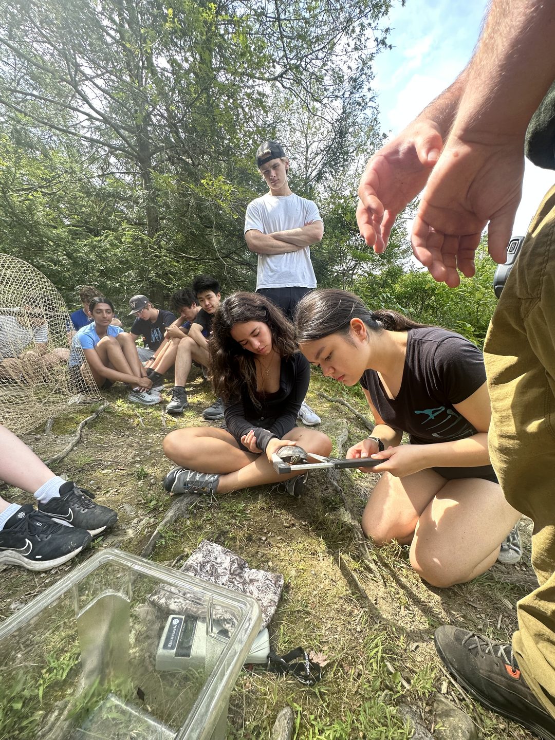 Alexandra Cohen — conservation and fieldwork