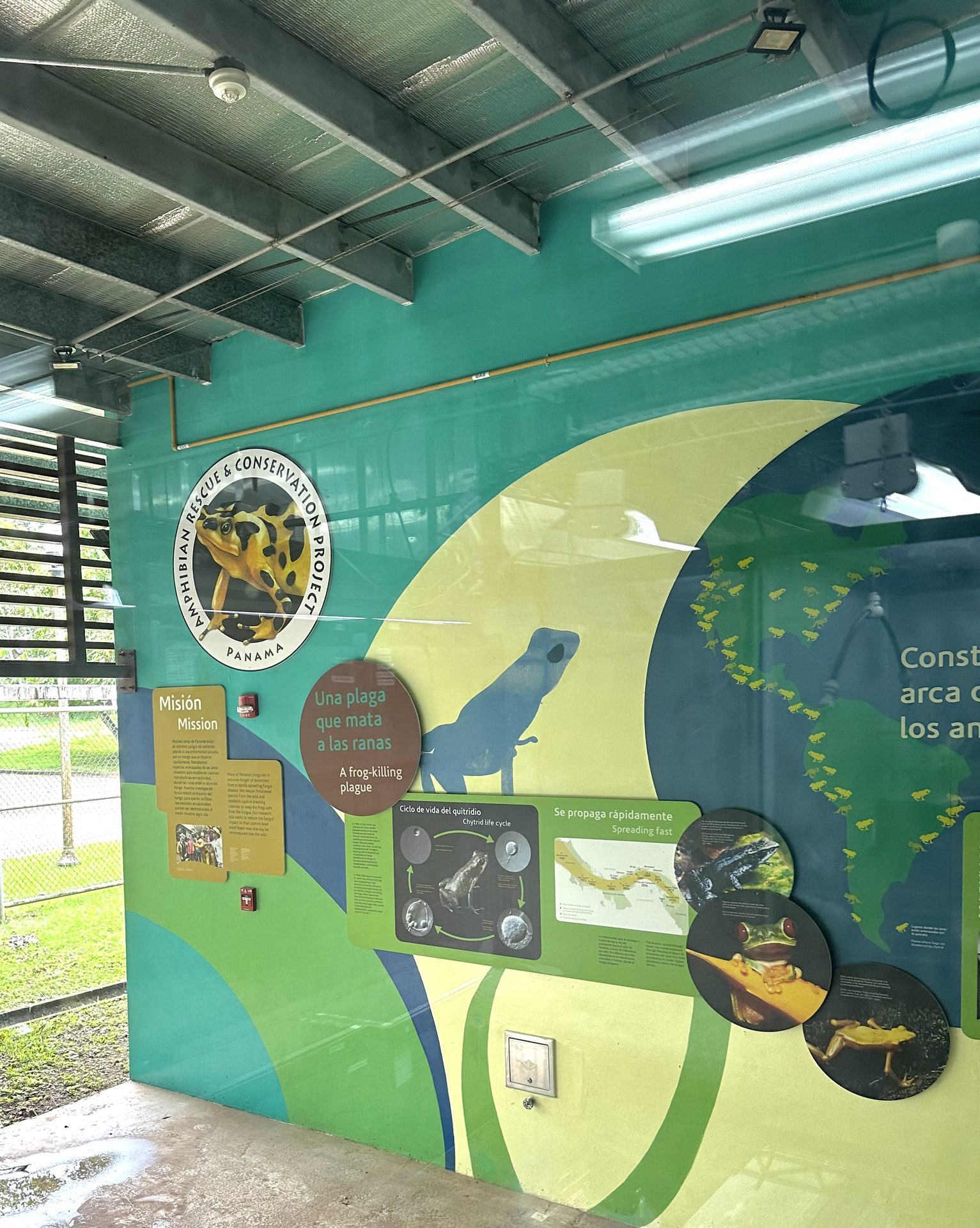 Alexandra Cohen — conservation and fieldwork