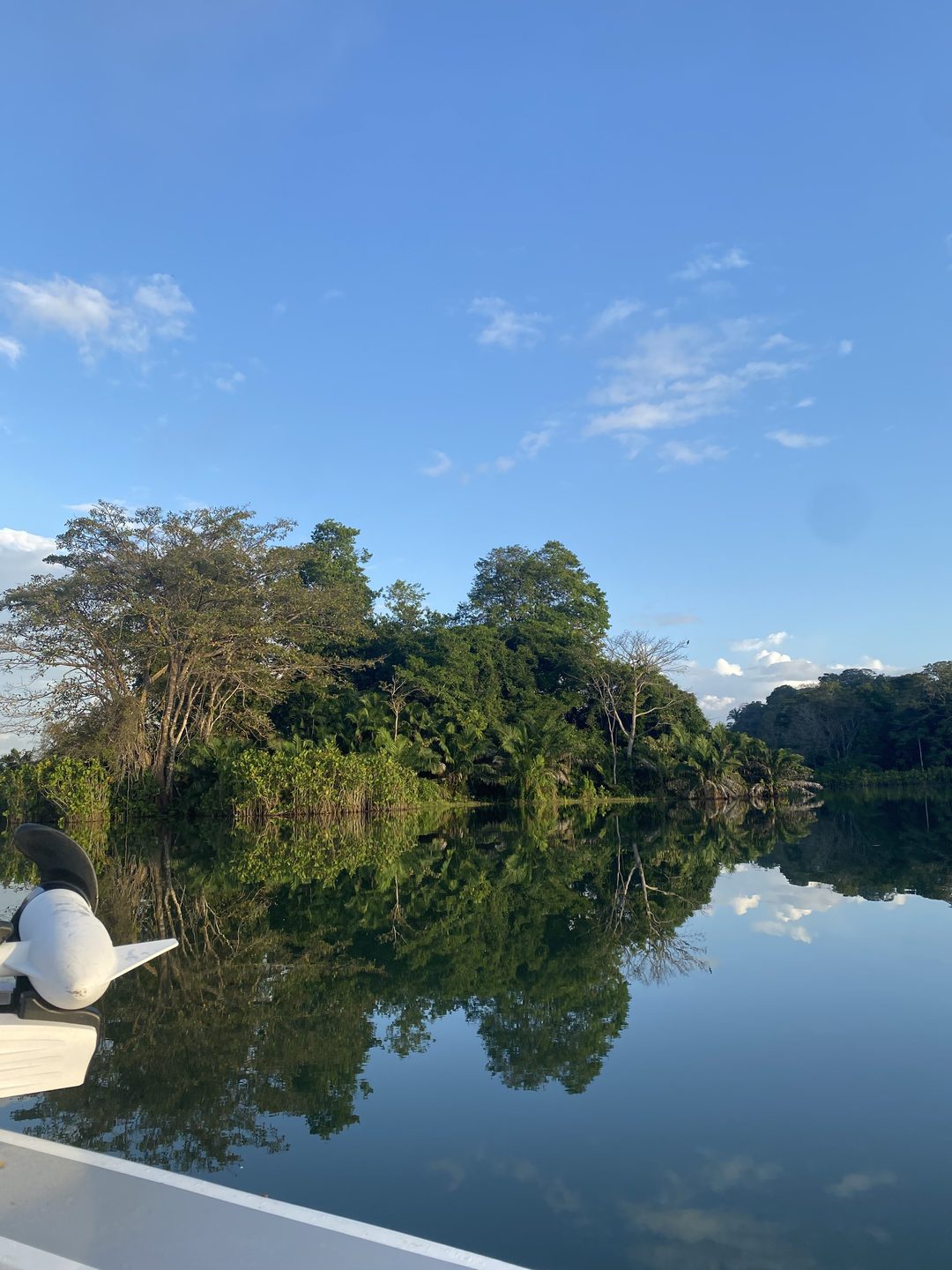 Alexandra Cohen — conservation and fieldwork